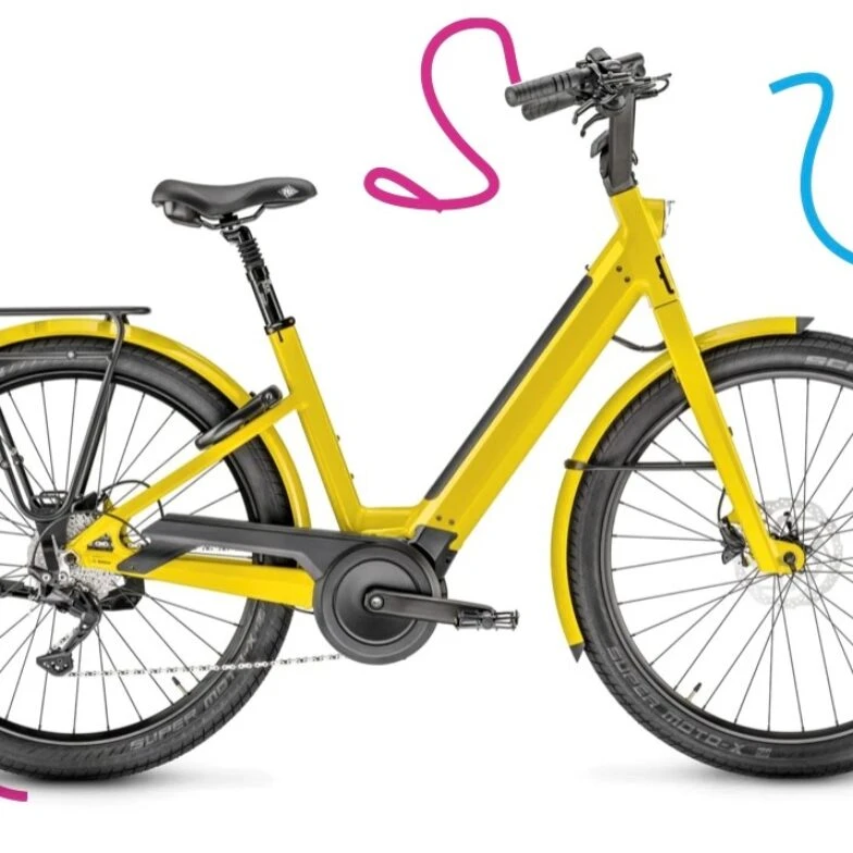 VAE E-BIKE « Moustache Mixte » Lundi 27.2 Bosch à la location