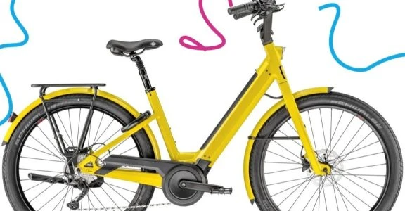 VAE E-BIKE « Moustache Mixte » Lundi 27.2 Bosch à la location