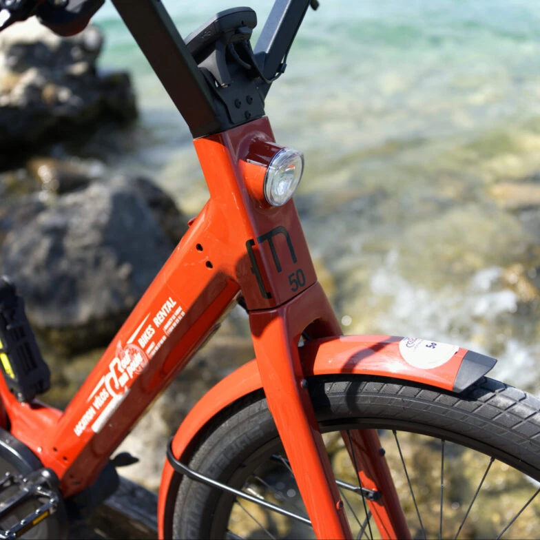 VAE E-BIKE « Moustache Mixte » Lundi 27.2 Bosch à la location