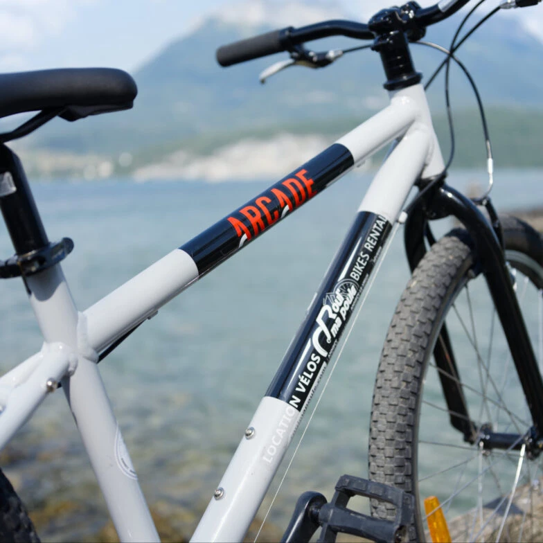 vélo 24 pouces enfant