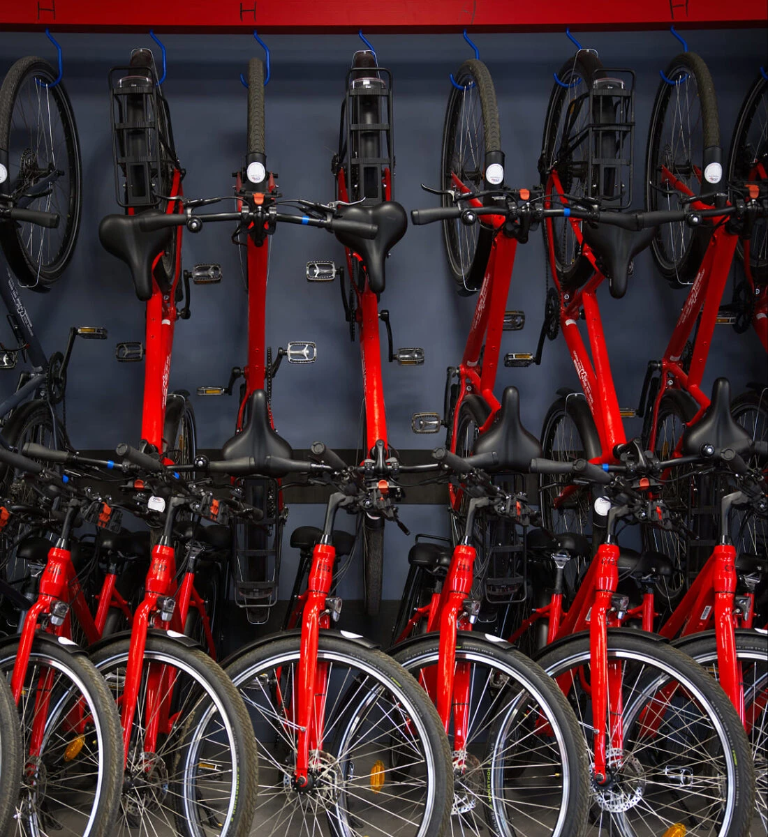 Location de vélos en ligne pour Annecy chez Roul'ma poule