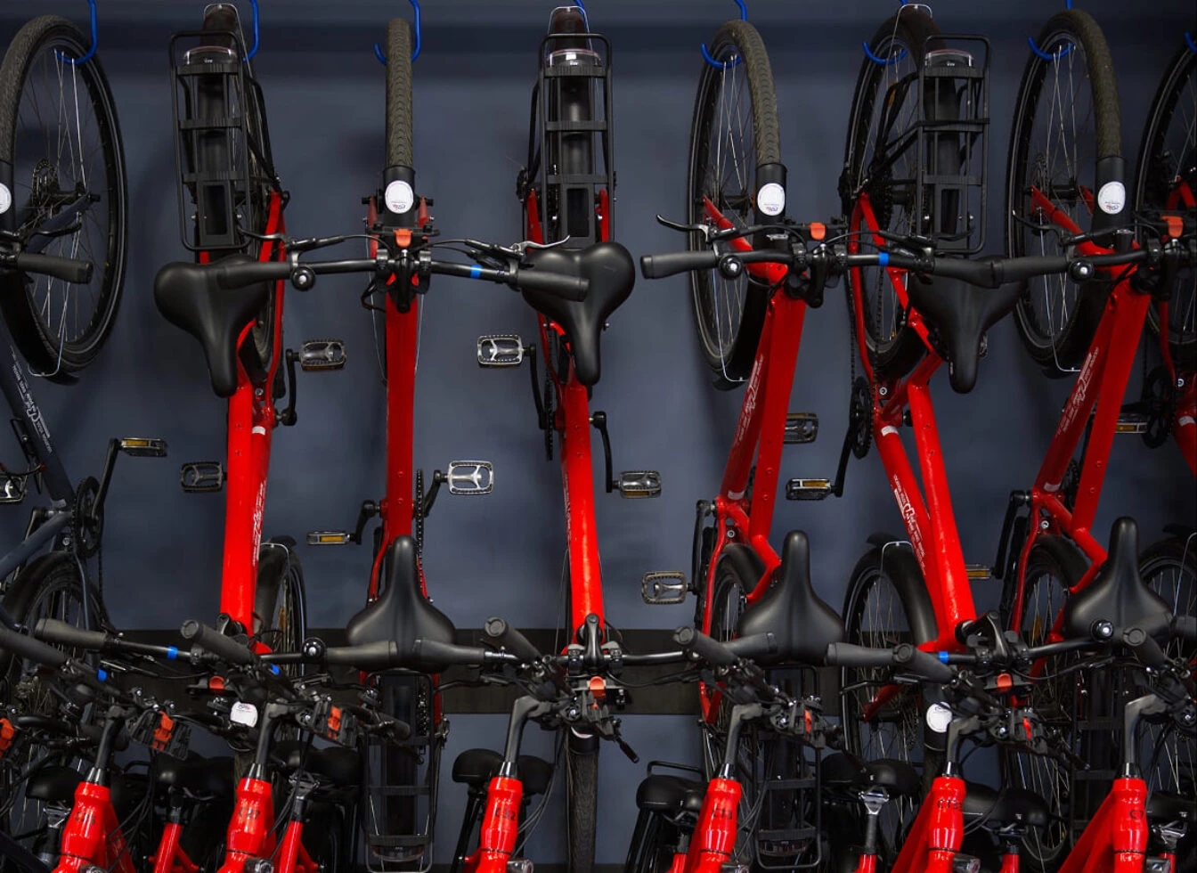 Location de vélos en ligne pour Annecy chez Roul'ma poule