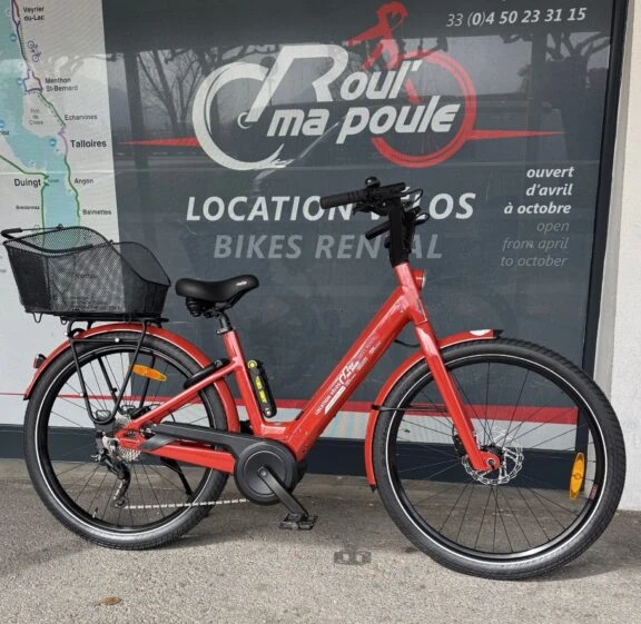 VAE E-BIKE «Moustache Mixte» Lundi 27.2 Bosch à la location